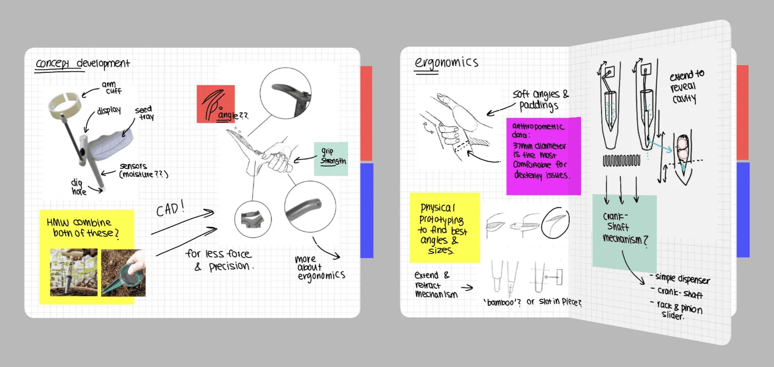 Evergarden: Inclusive Design Approach